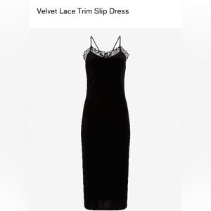 Dark Navy Blue Express Dress Velvet
